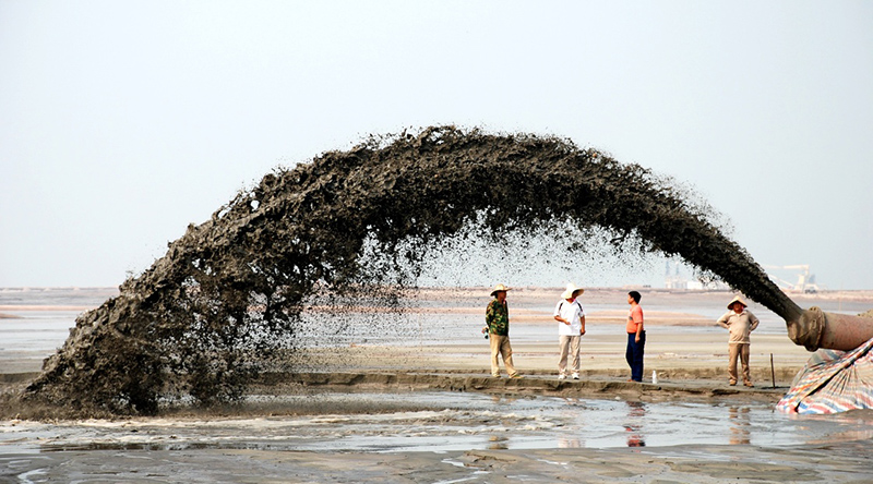 广西壮族自治区海洋经济总量_海洋动物简笔画(3)
