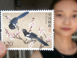 300中国邮政发行《喜鹊》特种.jpg