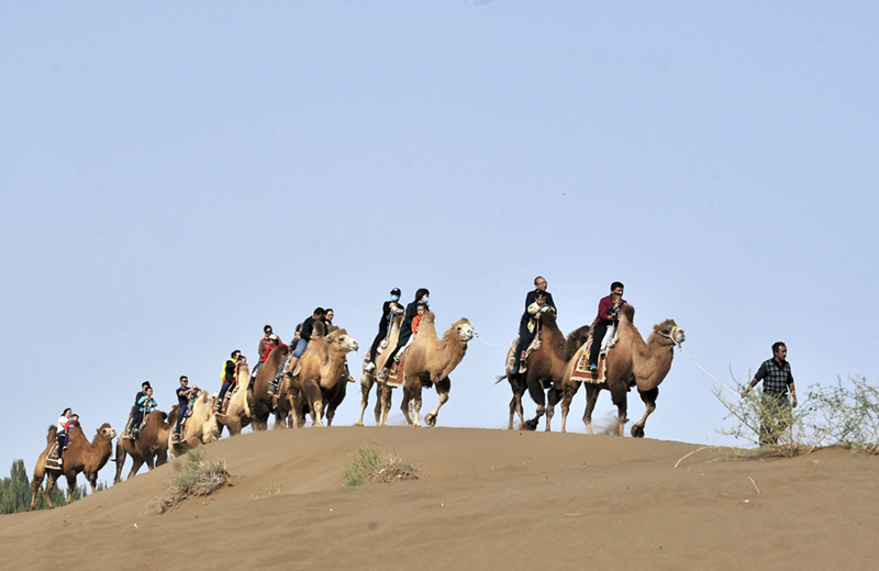 漫漫黄沙变宝地--新疆打造多元沙漠产业_图片