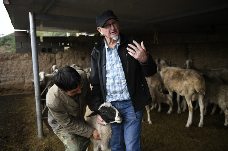 来自基层蹲点现场的报道