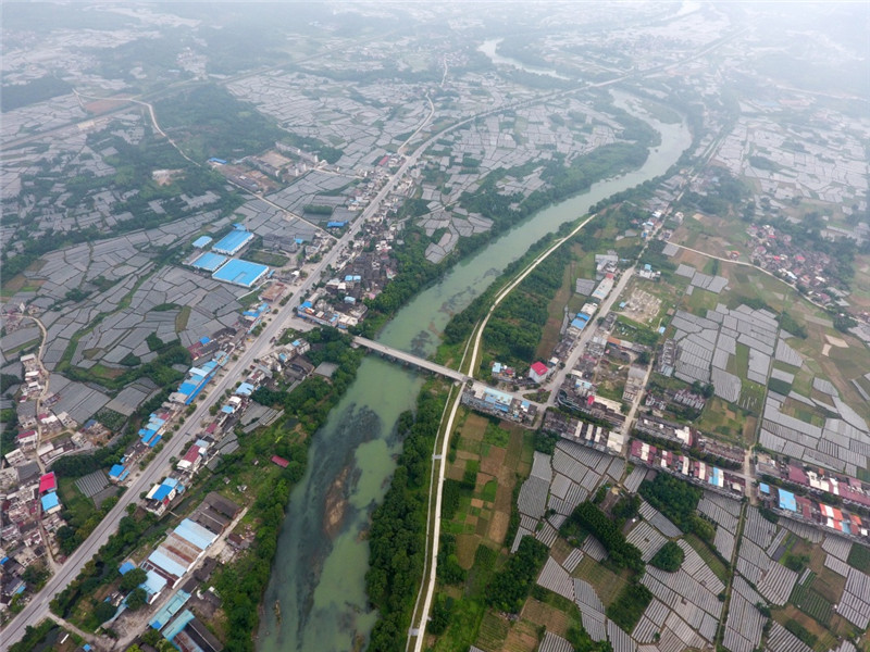 这是广西兴安县溶江镇境内的田园和道路(6月8日摄.