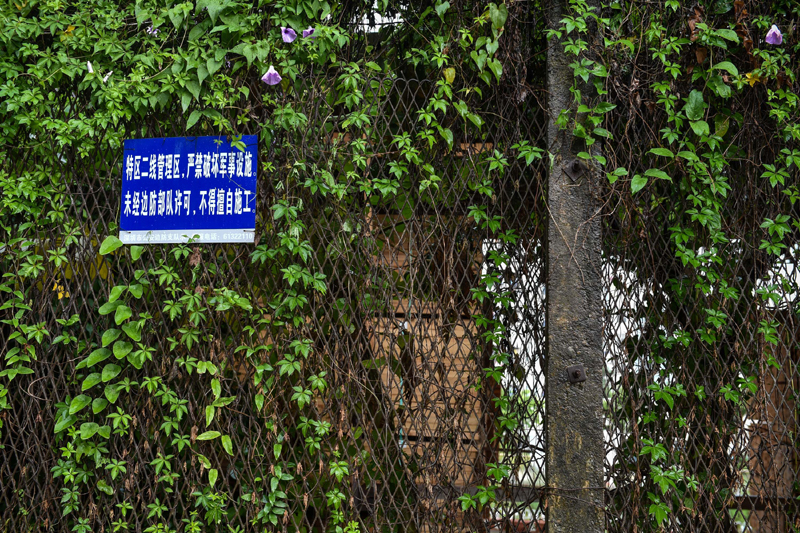 深圳经济特区管理线的铁丝网已经爬满植物（2015年7月17日摄）。
