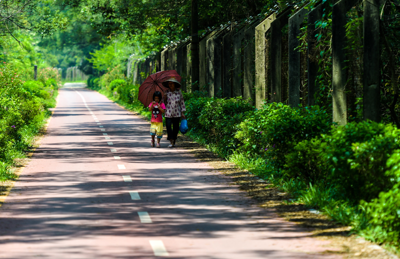 深圳经济特区管理线旁的小路已经被改为健身步道，居民走在管理线的铁丝网旁（2015年8月25日摄）。