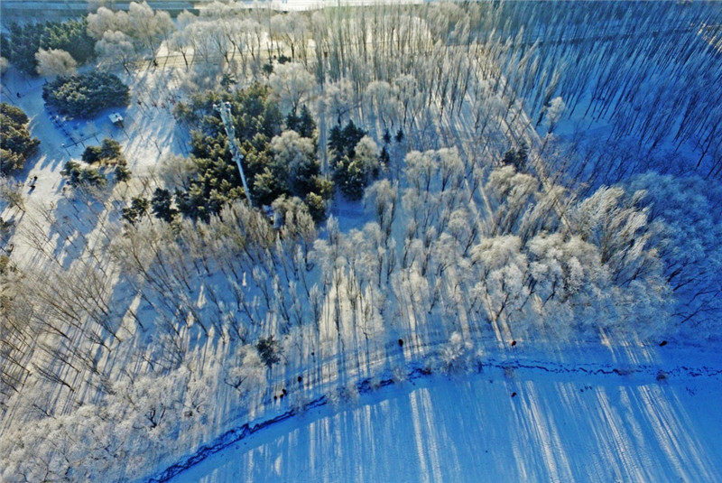 东北三省推动冰雪旅游产业健康发展综述