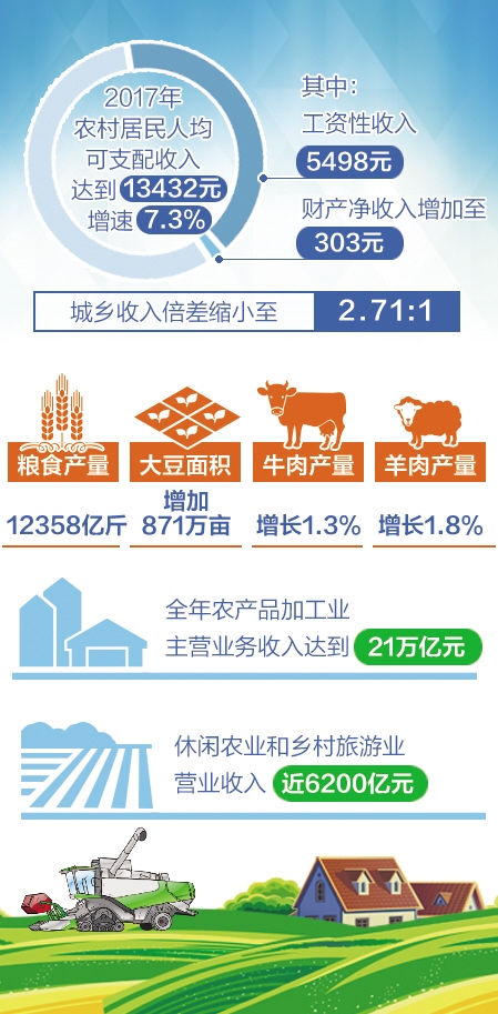 收入证明_2017河南农村收入