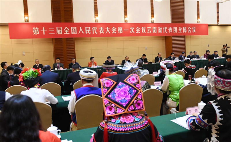 云南代表团全体会议向媒体开放