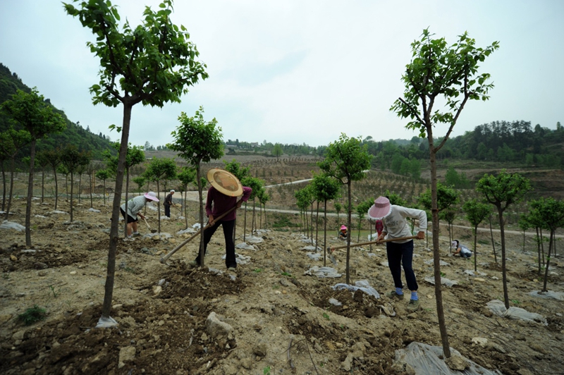 石阡县国荣乡GDP_石阡县河坝乡全景图