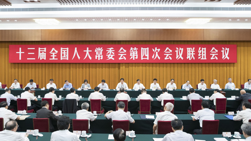 十三届全国人大常委会第四次会议举行联组会议