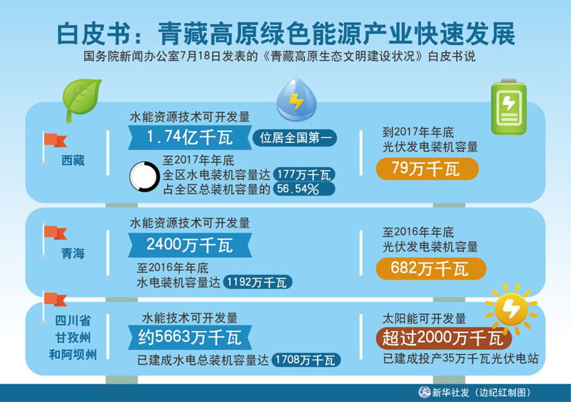 图表:白皮书:青藏高原绿色能源产业快速发展