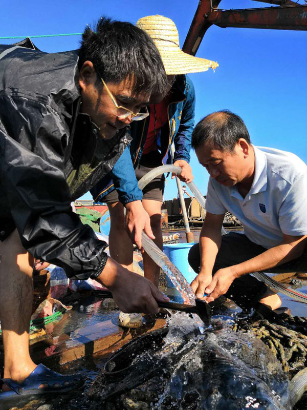 辽宁大连庄河海域发现甲午海战沉舰“经远舰”