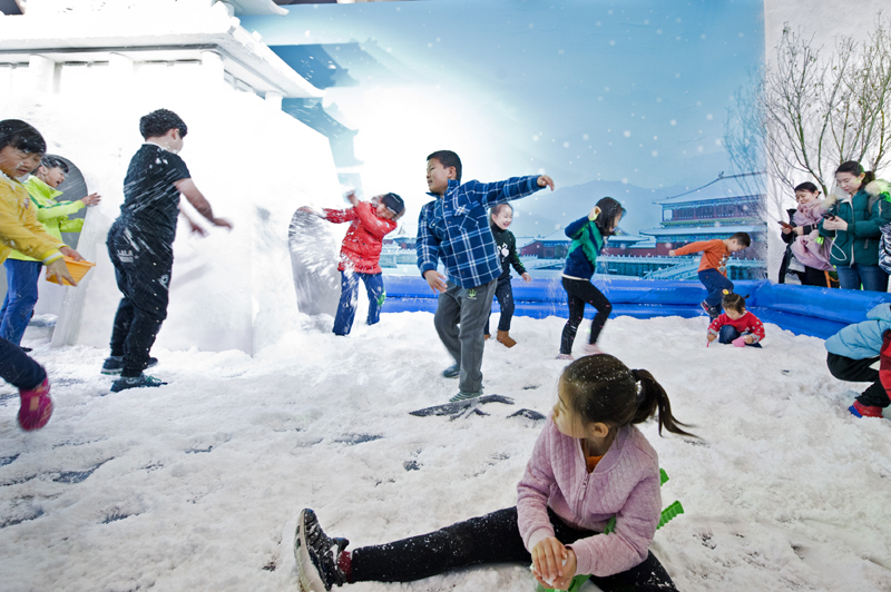 首届中国冰雪大会在京开幕