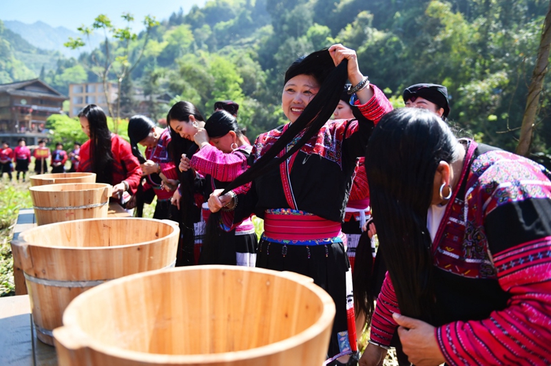 4月7日,广西龙胜黄洛瑶寨的瑶族群众在户外展示长发梳妆.