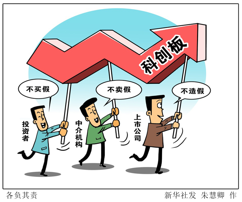 漫画：各负其责