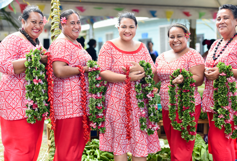 太平洋岛国旅游年”成果显著