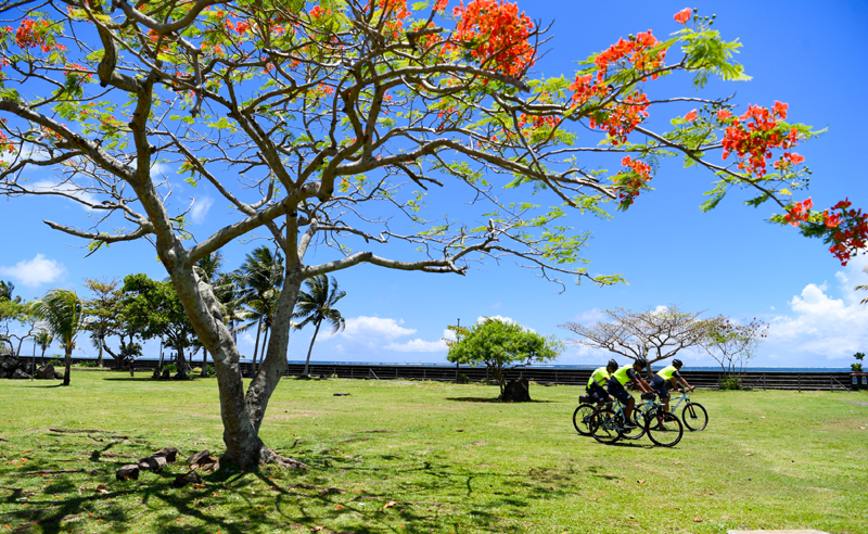 太平洋岛国旅游年”成果显著