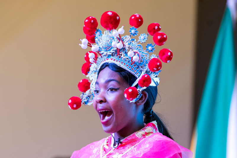 2019,中国文化绽放世界舞台