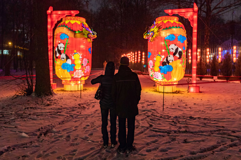 2019,中国文化绽放世界舞台