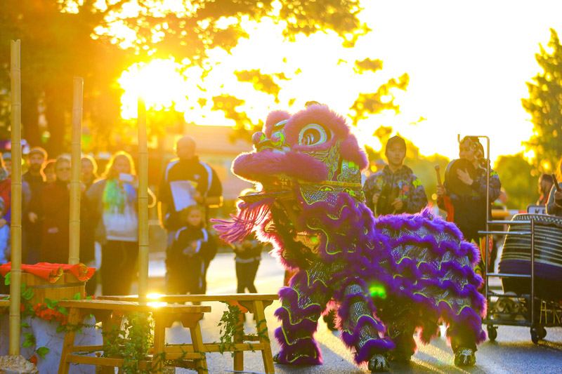 2019,中国文化绽放世界舞台