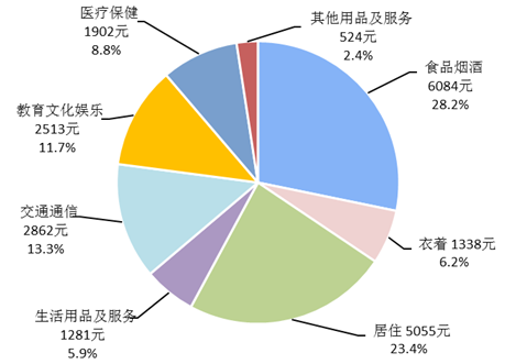 2019꣬ȫ˾֧21559Ԫ446045