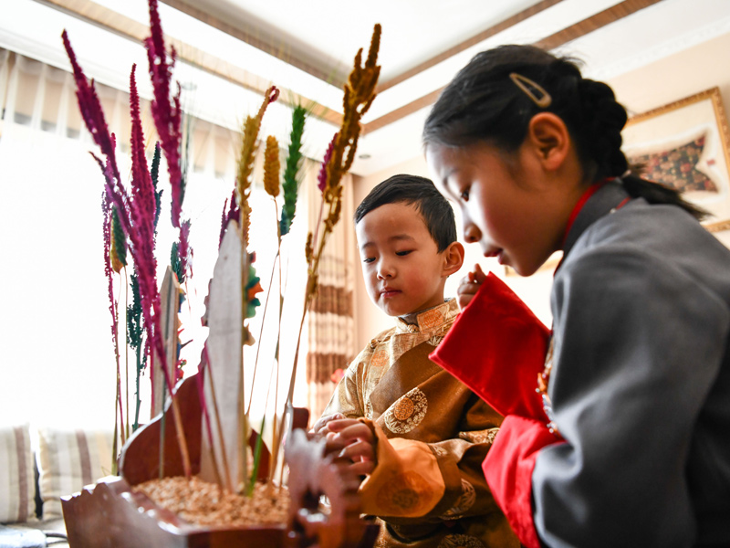 西藏各地欢度藏历新年