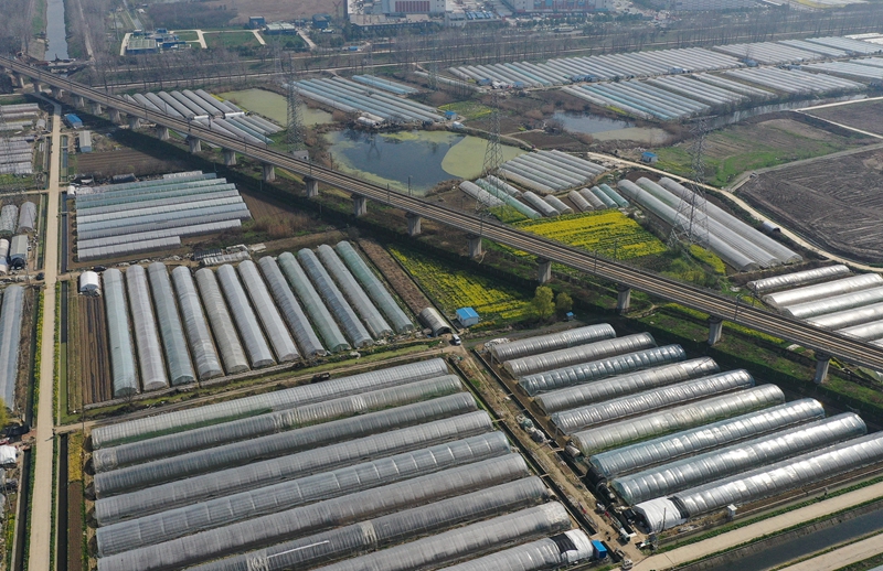 南京谷里现代农业示范区春耕田管忙