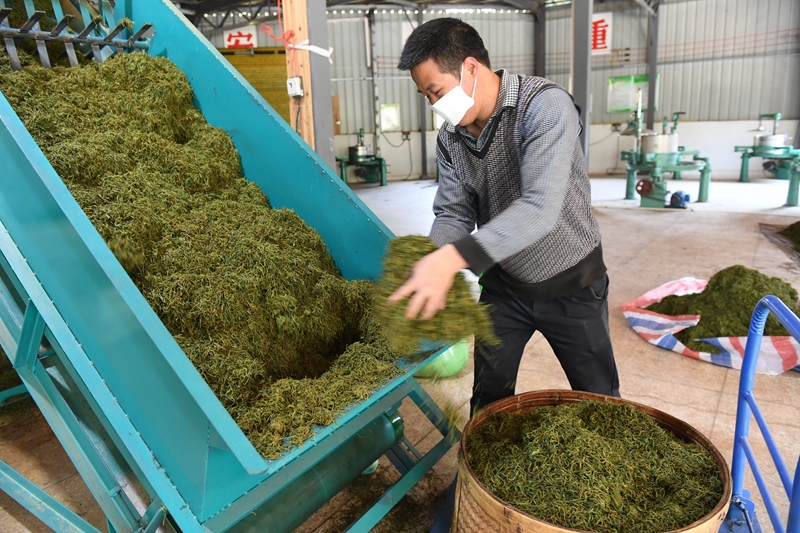 福建寿宁：巩固脱贫成果闯新路