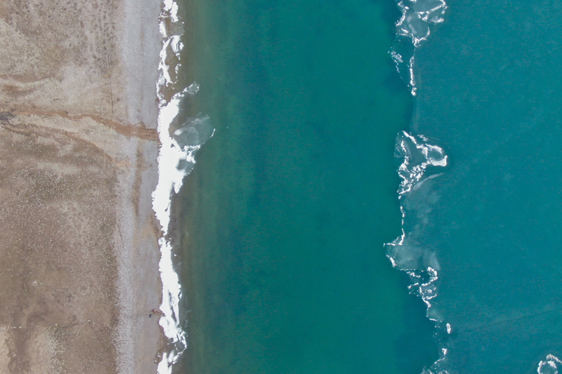 青海湖“开湖”