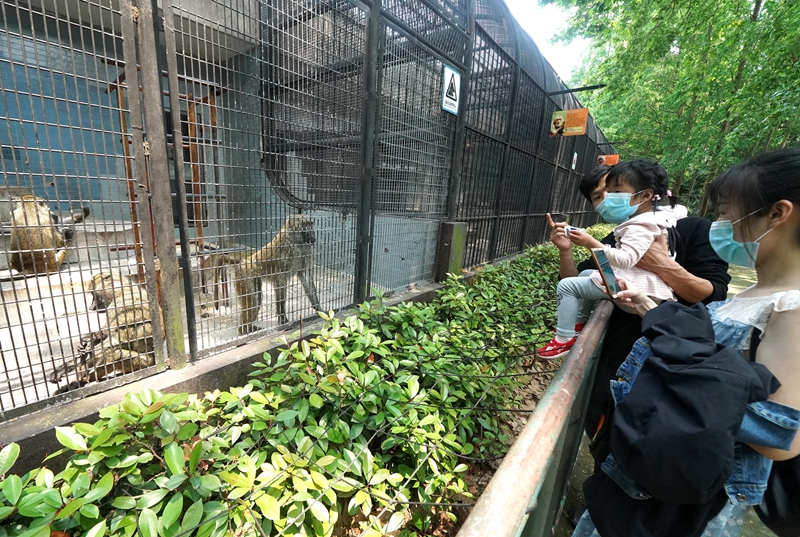“五一”小长假前三天 国内旅游收入超350亿元