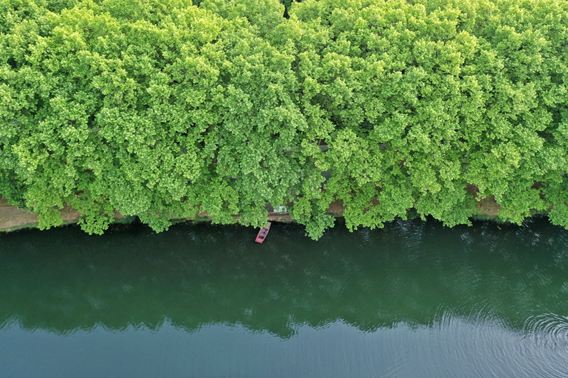 贵阳：初夏湿地景如画