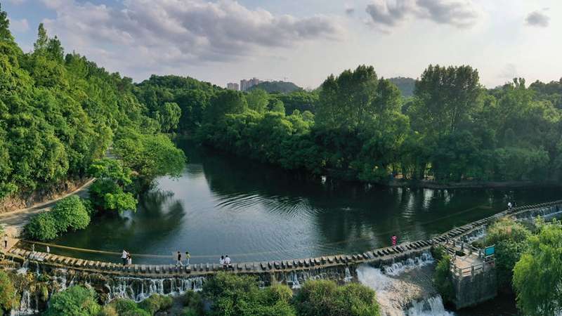 贵阳：初夏湿地景如画