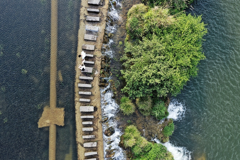 贵阳：初夏湿地景如画