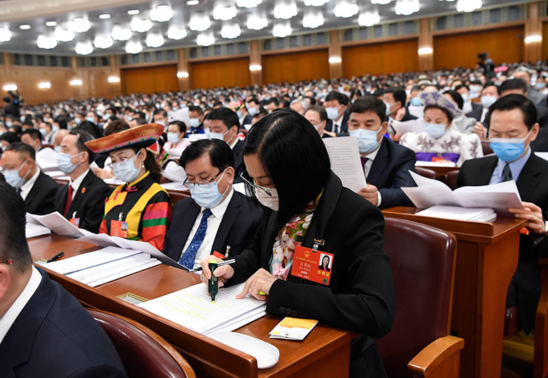 十三届全国人大三次会议在京开幕