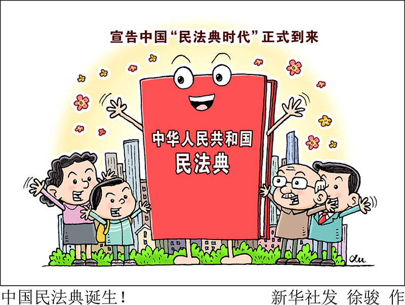 漫画：中国民法典诞生！
