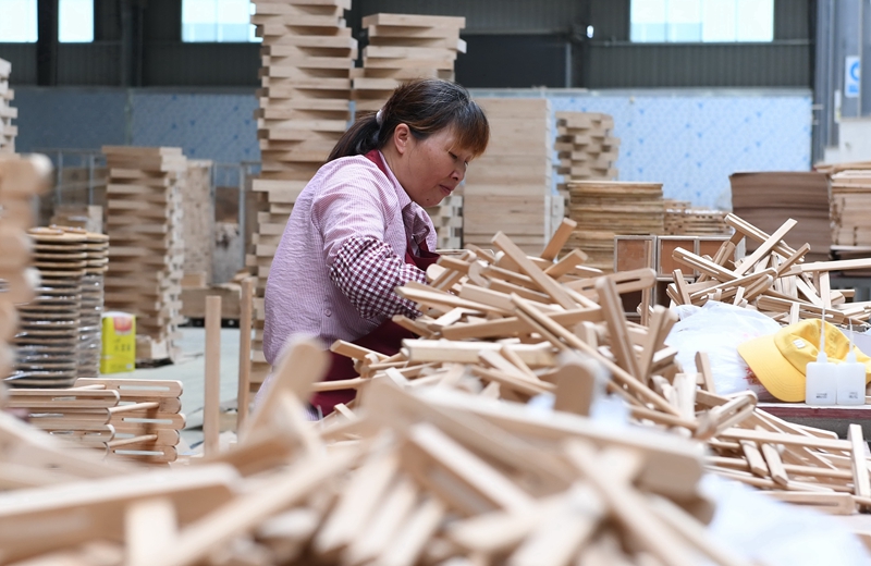 福建南平：木竹外贸企业加快转型升级促进增产增效