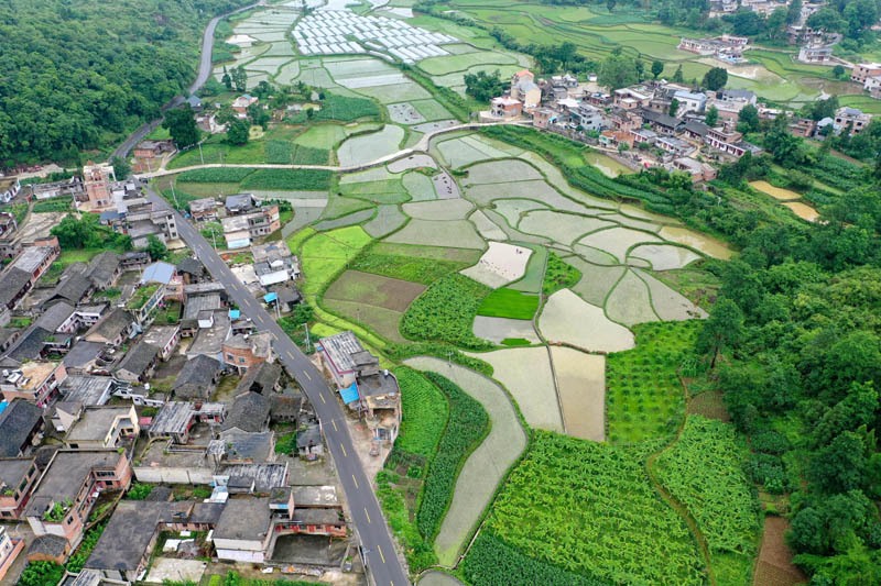 贵州：田园夏日风光美