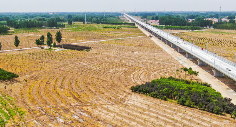河北霸州：打造特色景观廊道