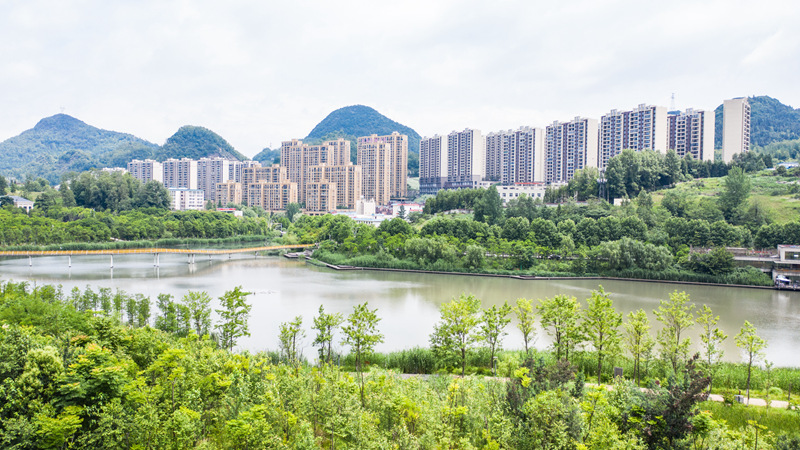 明湖湿地风光美