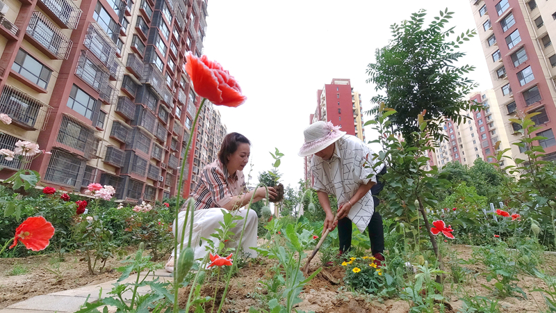 河北唐山：绿地认养 扮靓家园