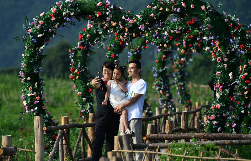 陕西太白：花开引客来