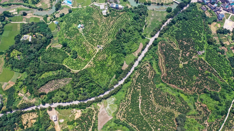 夏日田园美