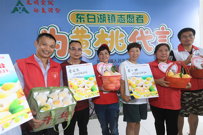 浙江诸暨：爱心志愿助农售桃