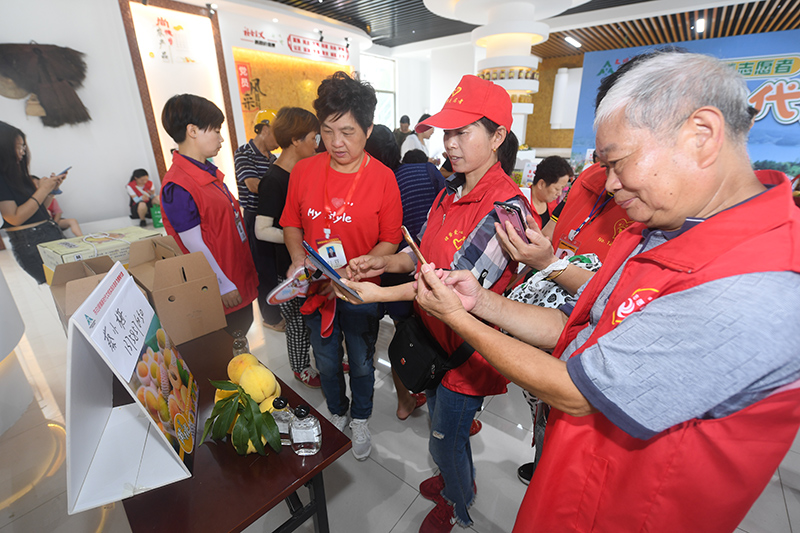 浙江诸暨：爱心志愿助农售桃