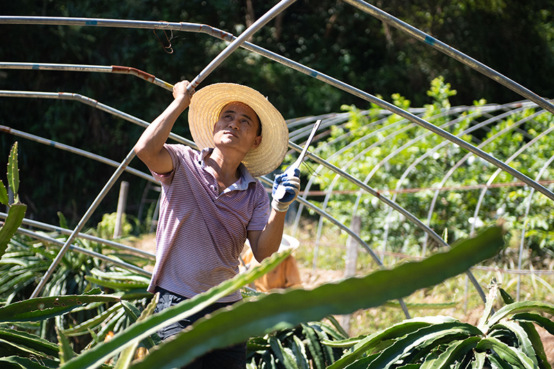 湖南保靖：灾后重建 恢复生产