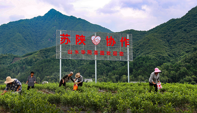 陕西洋县：扶贫协作显成效