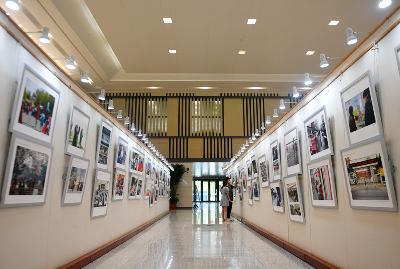 吉林省举行抗疫主题青年作品展