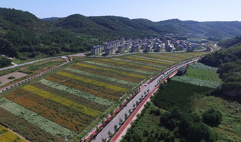 初秋时节南泥湾 花满河谷绿满山