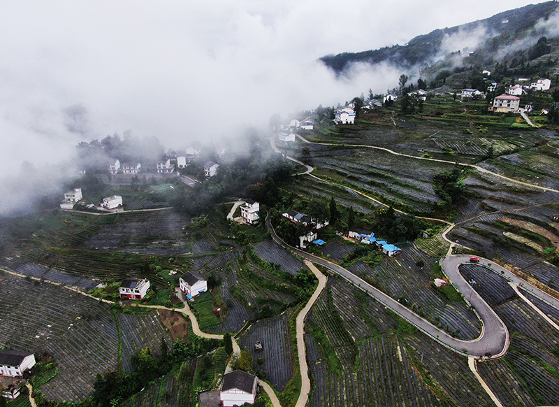 重庆开州：山村新貌