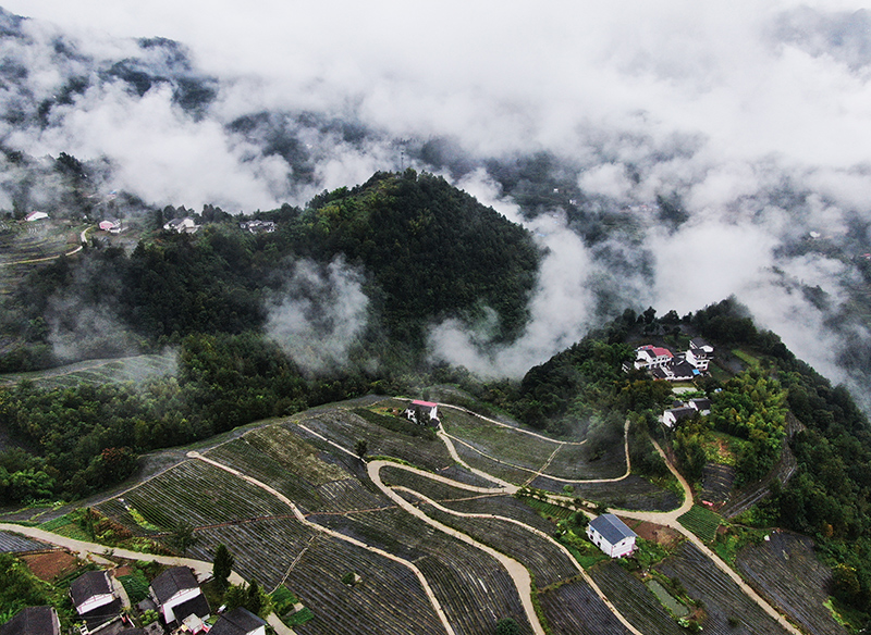 重庆开州：山村新貌