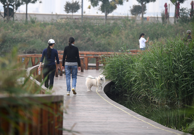 全球绿色城市：中新天津生态城