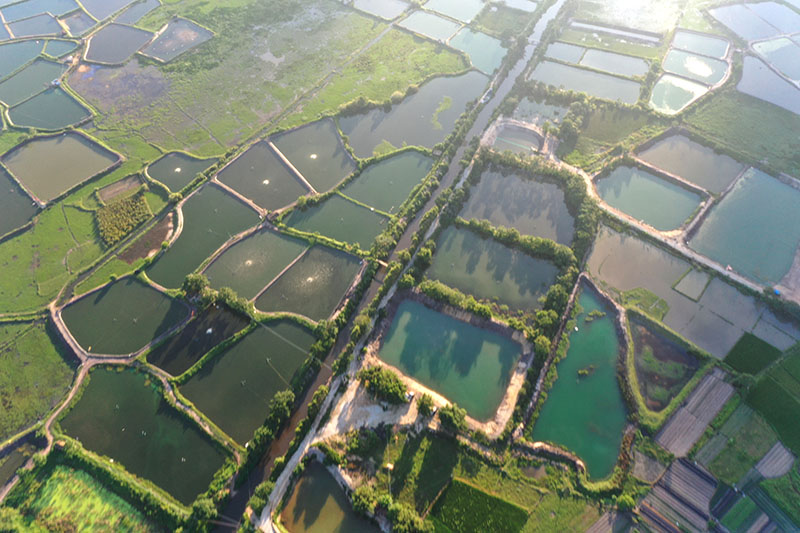 海边田园风光秀